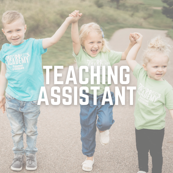 Teaching Assistant position at Theodore's Academy